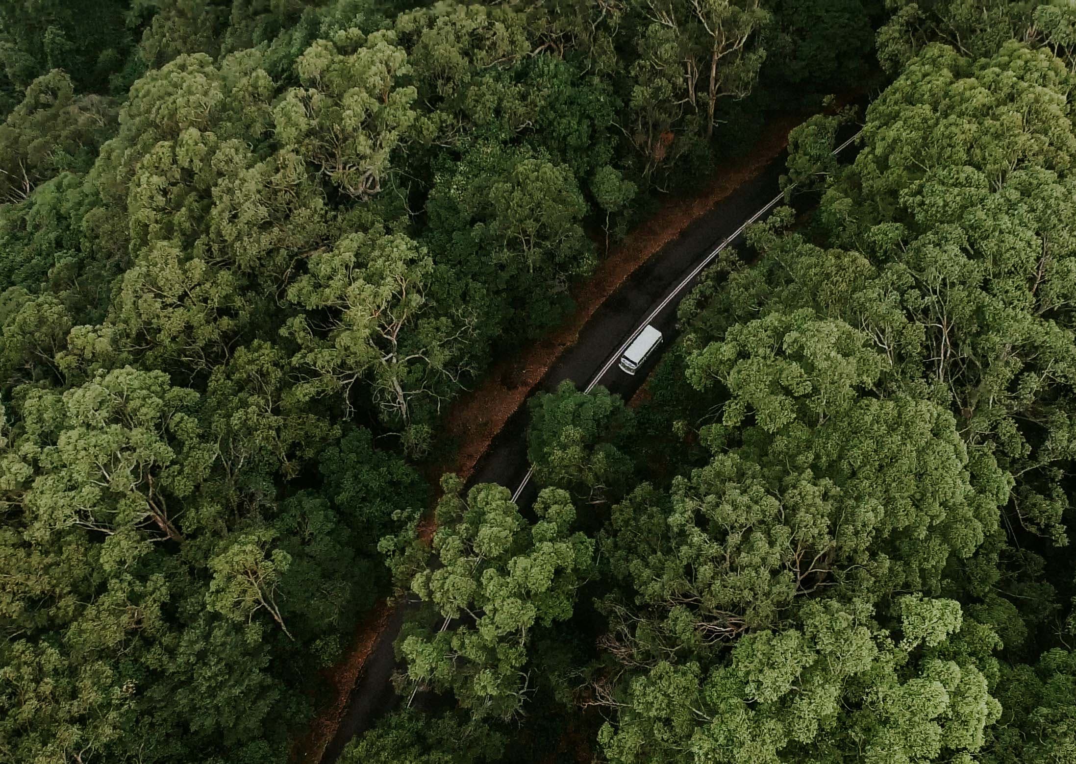 industry-report-dec-25