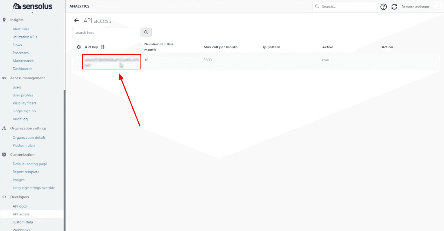 Copy the API key