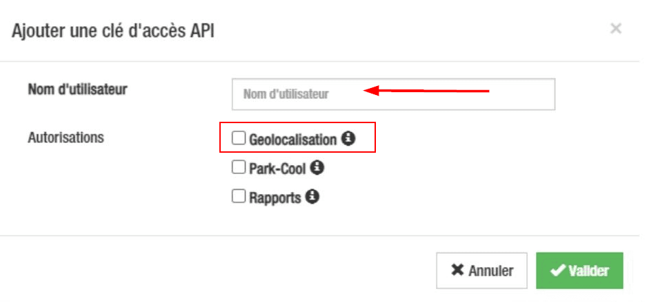 Enter a connection name, e.g. “CO3” and check “Geolocalization”