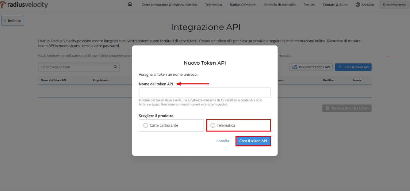 Enter a token name, select the "Telematics" option, and click "Create API token"
